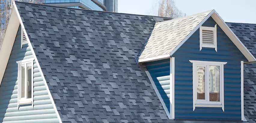 Shingle Roof Maintenance in West Chicago