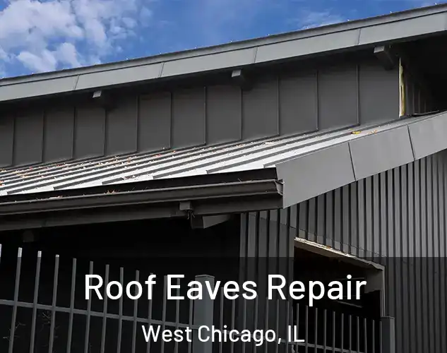  Roof Eaves Repair West Chicago, IL